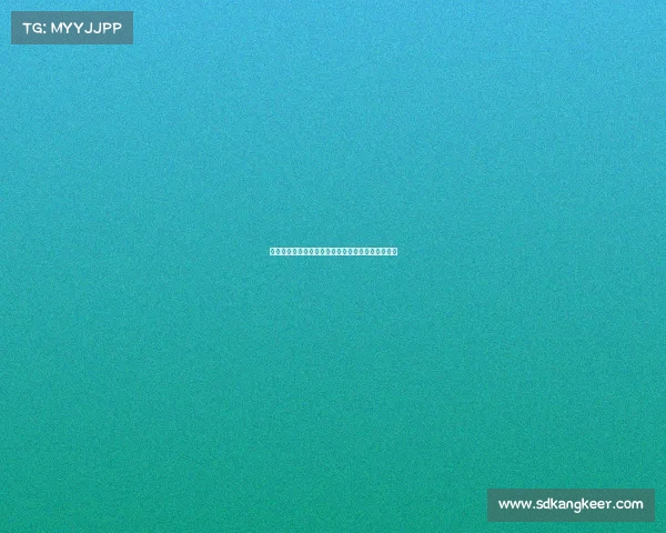 法甲足球场地条件分析与比赛环境对球队表现的影响