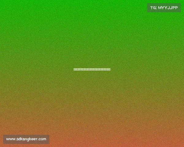 奥尔莫：弗里克生气时切换英语希望特狮尽早回归球队