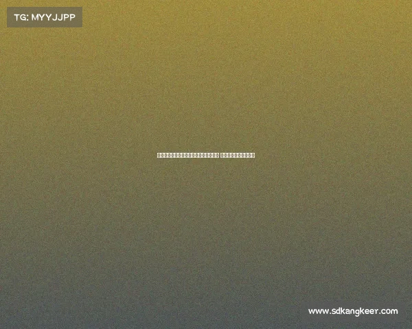 聋人篮球世界杯美国队成功卫冕再创历史 全队拼搏展现无限潜力