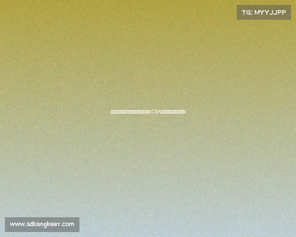 苏群：里奇保罗亲自指导杨瀚森选秀 CBA外援轮番授课助力成长