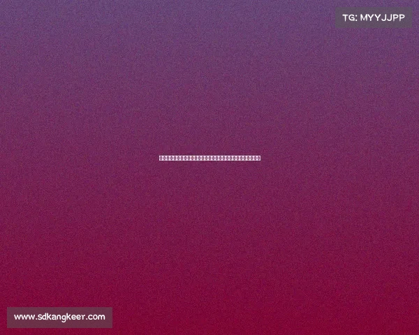 德甲联赛最新动态解析：聚焦赛季表现、球队战术与球员转会热点