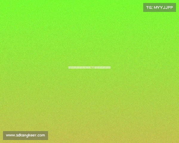 贺希宁与林葳美国集训上赛季砍下38分大胜新疆展现强劲实力