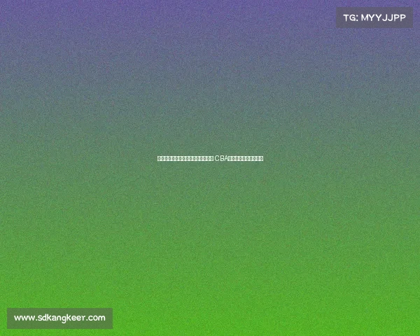 苏群：里奇保罗亲自指导杨瀚森选秀 CBA外援轮番授课助力成长